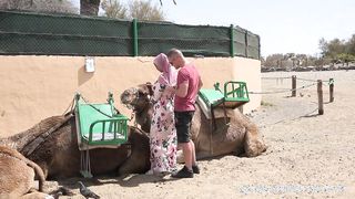 Hatalmas tőgyes arab bige dugása