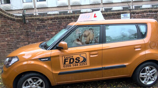Fake Driving School cuki japán kiscsaj dugni akar