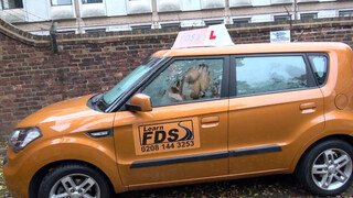 Fake Driving School Amber Rayne esete a méretes néger fasszal